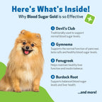 Pet Wellbeing Blood Sugar Gold para Perros - Apoyo Holístico para Niveles Saludables de Azúcar en Sangre, Estabilización de Insulina y Función Pancreática Normal - Certificado NASC y Formulado por Veterinarios - 118 ml Líquido