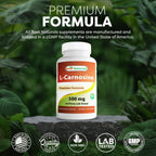 Best Naturals L-Carnosine 500 mg 100 Vcaps