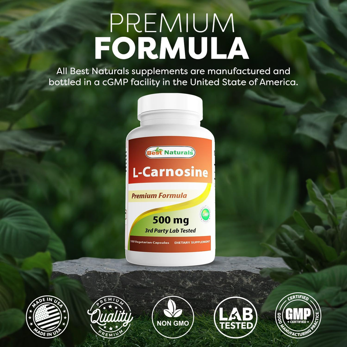 L-Carnosina 500 mg 100 Cápsulas Veganas – – 500 mg de L-carnosina por cápsula vegetal – Image 5