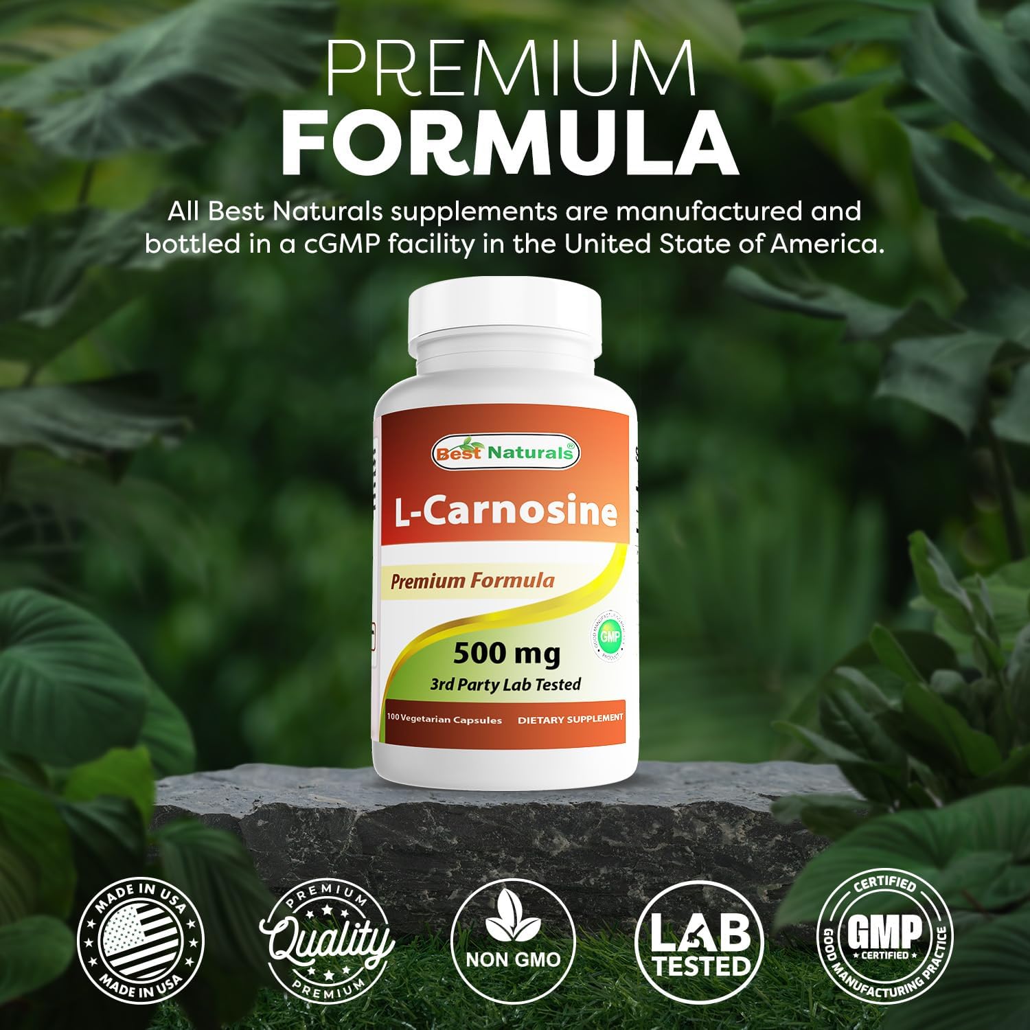 Best Naturals L-Carnosina 500 mg - 100 Cápsulas Vegetales (Paquete de 2)
