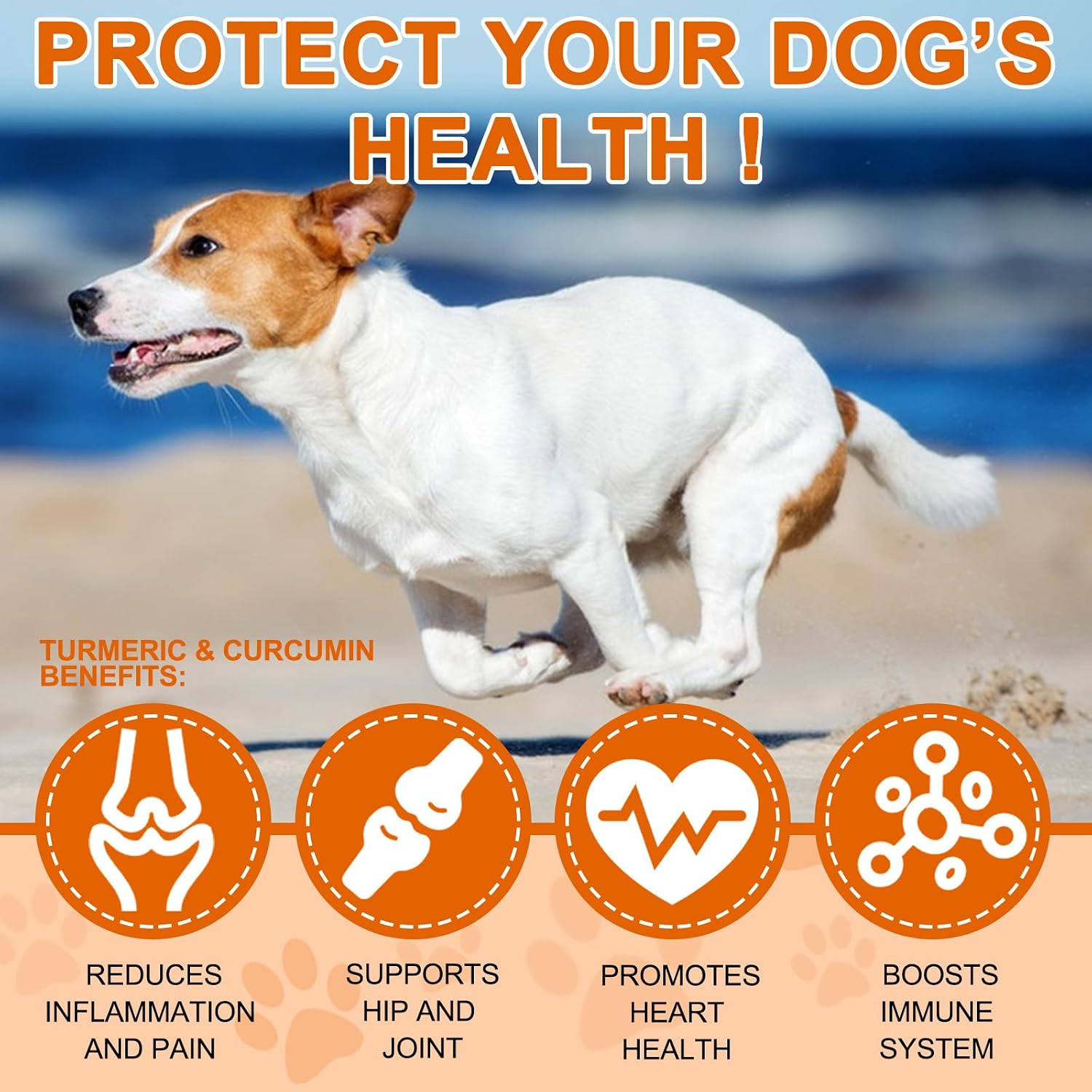 Cúrcuma para Perros, 180 Comprimidos de Cúrcuma Curcumina - ALIVO