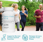 Chanca Piedra 500 mg Suplemento Herbal - 100 Cápsulas Vegetales (Pack de 1)