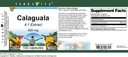 Calaguala 4:1 450 mg - 3 Pack (100 Cápsulas cada una) – Image 3