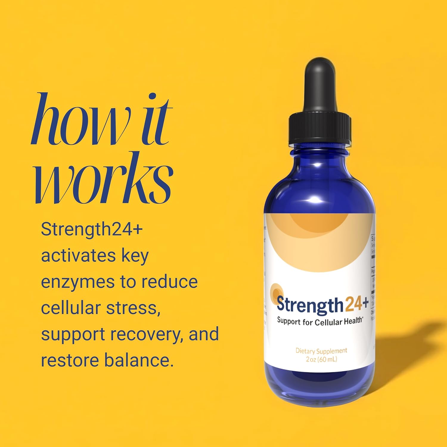 Strength24+ Gotas de Vitalidad, Control de la Vejiga, Salud Celular y Energía, 60 Dosis (1 Mes), con Extracto de Jazmín y Aminoácidos, Recuperación Muscular, Apoyo para Dormir, 60 ml