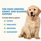 LIQUID-VET Fórmula Líquida para Perros con Arándano y D-Manosa - Apoyo Renal y Vesical