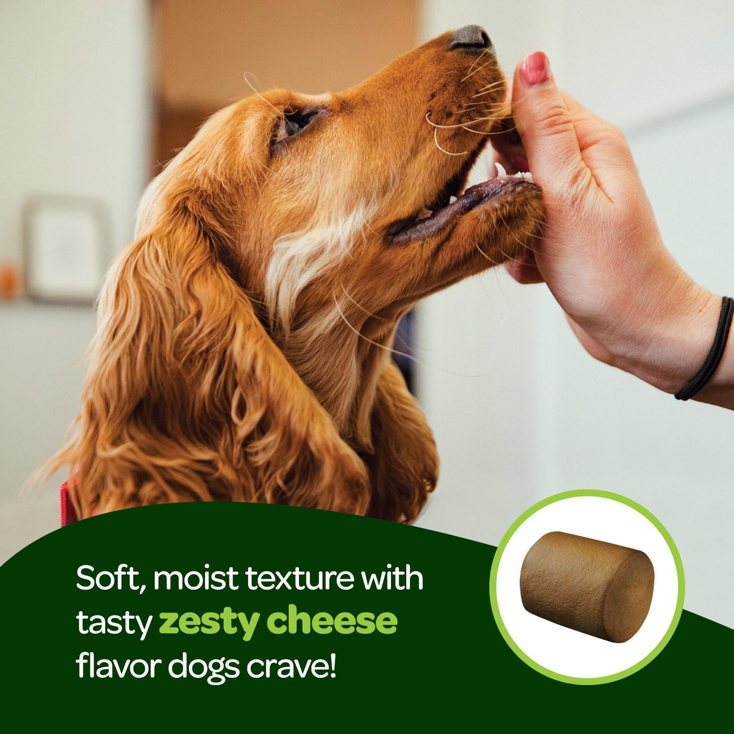 Masticables Probióticos para Perros - Salud Digestiva con Calabaza y Enzimas - 60 Unidades