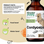 Tintura de Cordyceps para Perros - Apoyo Renal y Energía Natural - 60 ml