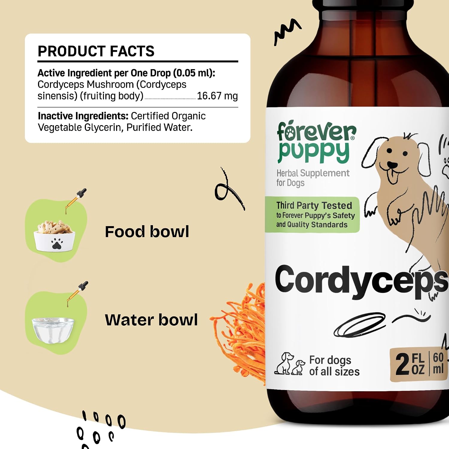 Tintura de Cordyceps para Perros - Apoyo Renal y Energía Natural - 60 ml