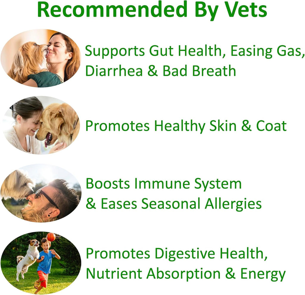 TummyWorks Probióticos para Perros - 120 Masticables Suaves para la Salud Digestiva, Intestinal, Inmunidad, Energía, Alergias, Piel y Pelaje - 10 Cepas, 5 mil millones de UFC con 6 Enzimas