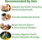 TummyWorks Probióticos para Perros - 120 Masticables Suaves para la Salud Digestiva, Intestinal, Inmunidad, Energía, Alergias, Piel y Pelaje - 10 Cepas, 5 mil millones de UFC con 6 Enzimas