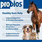 Probios Probiótico Digestivo para Perros 240g