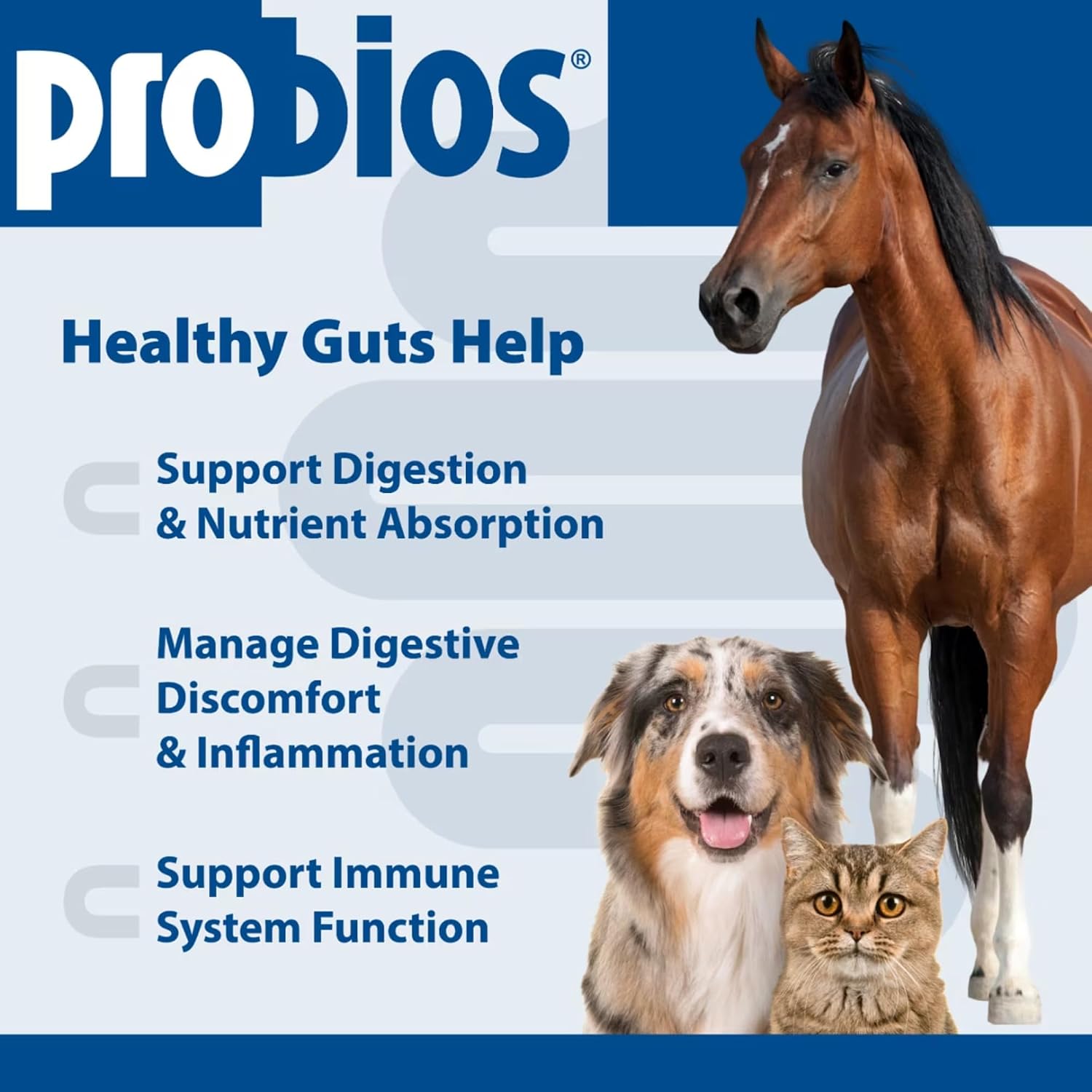 Probios Probiótico Digestivo para Perros 240g