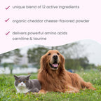 Bark & Whiskers Heart Health: Apoyo Cardiovascular para Perros y Gatos (90 dosis)