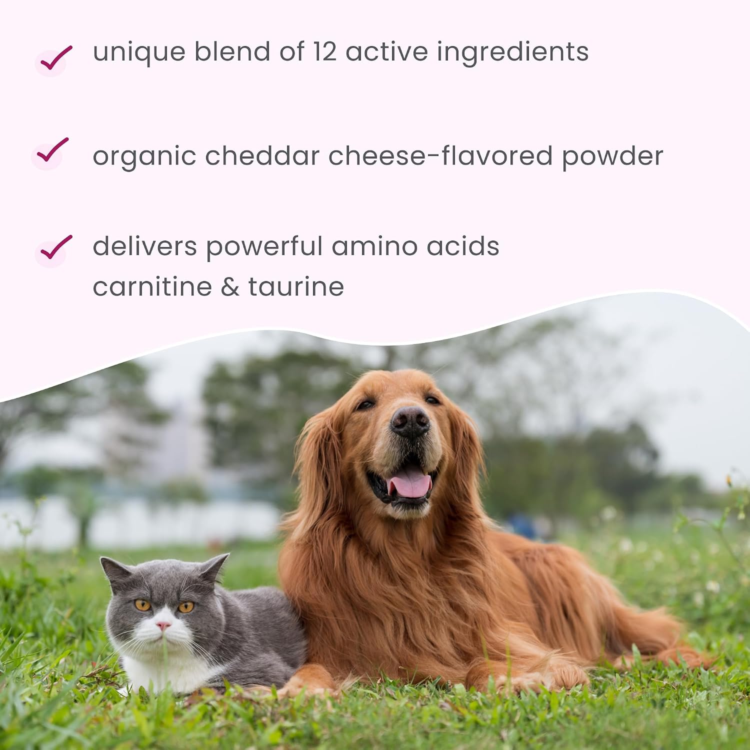 Bark & Whiskers Heart Health: Apoyo Cardiovascular para Perros y Gatos (90 dosis)