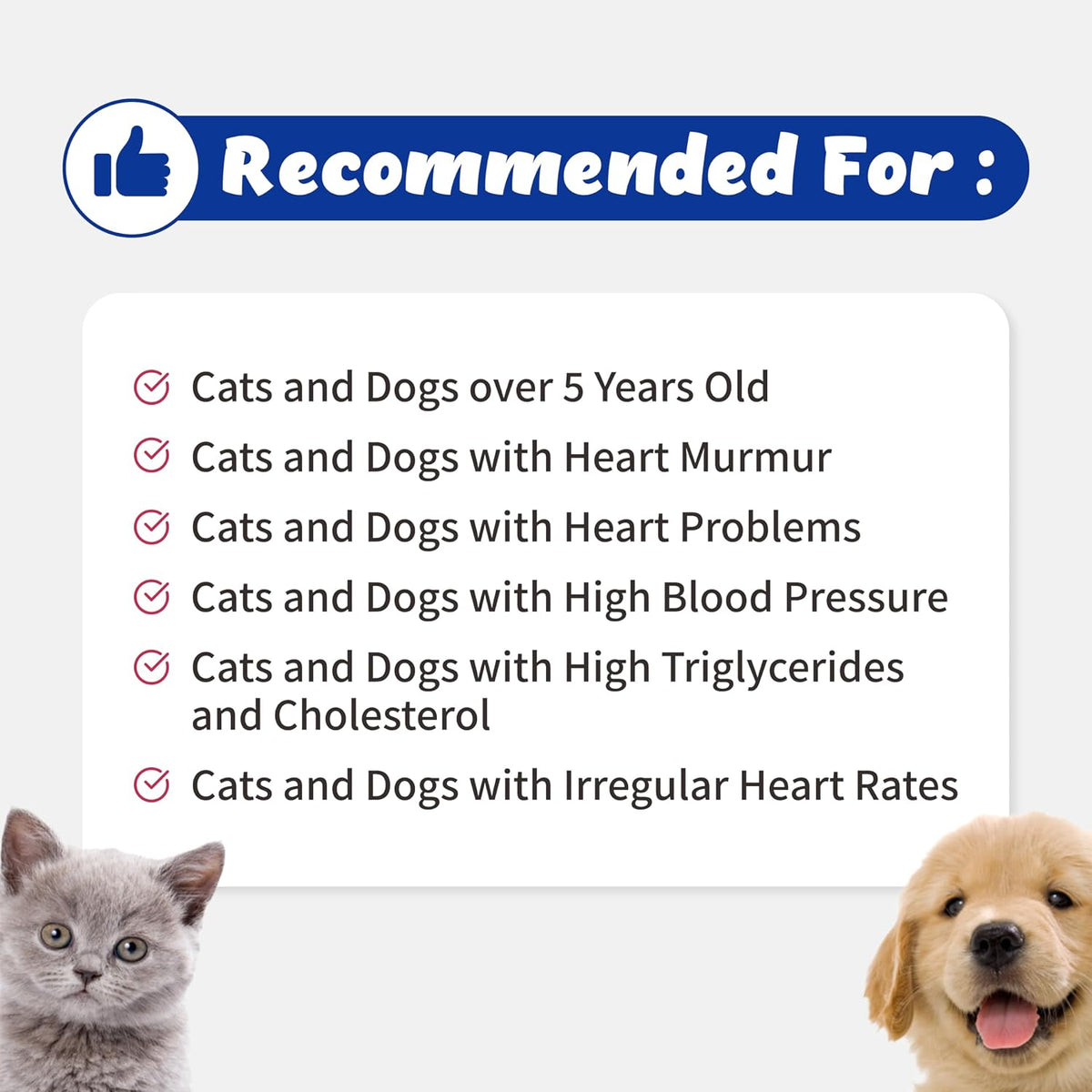 Heart Alive Líquido para la Salud Cardiovascular de Perros y Gatos - Aceite de Pescado Noruego, Coenzima Q10, Vitamina K2, – Image 3
