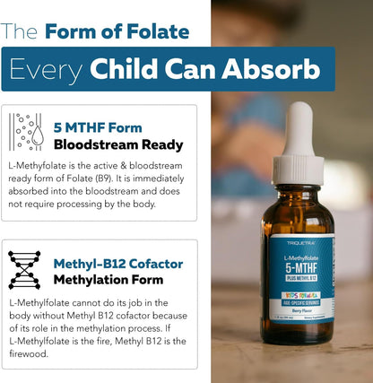 L-Metilfolato Orgánico para Niños + Metil – Apoyo al desarrollo cognitivo: El folato contribuye a la función – Image 5