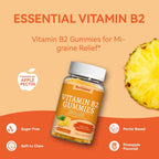SmildeHeal Vitamin B2 Gummies - Riboflavina 400mg con Magnesio - 60 Gominolas Veganas