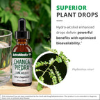 NutraMedix Chanca Piedra Gotas - Suplemento Líquido para el Bienestar Renal y Hepático (30 ml)