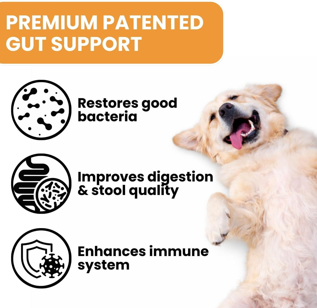 Probióticos para Perros - Bacillus Coagulans & Fibra Prebiótica - Masticables Digestivos y de Apoyo Inmunitario - Sabor a Pato - 90 Unidades