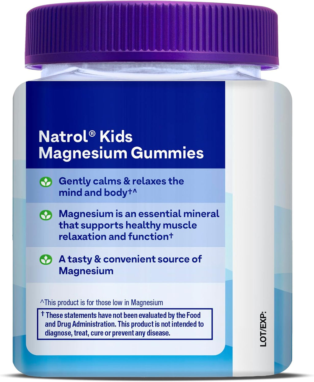 Natrol Kids Magnesium Citrate Gummies, Apoyo al Sueño, Frambuesa, 30 Unidades