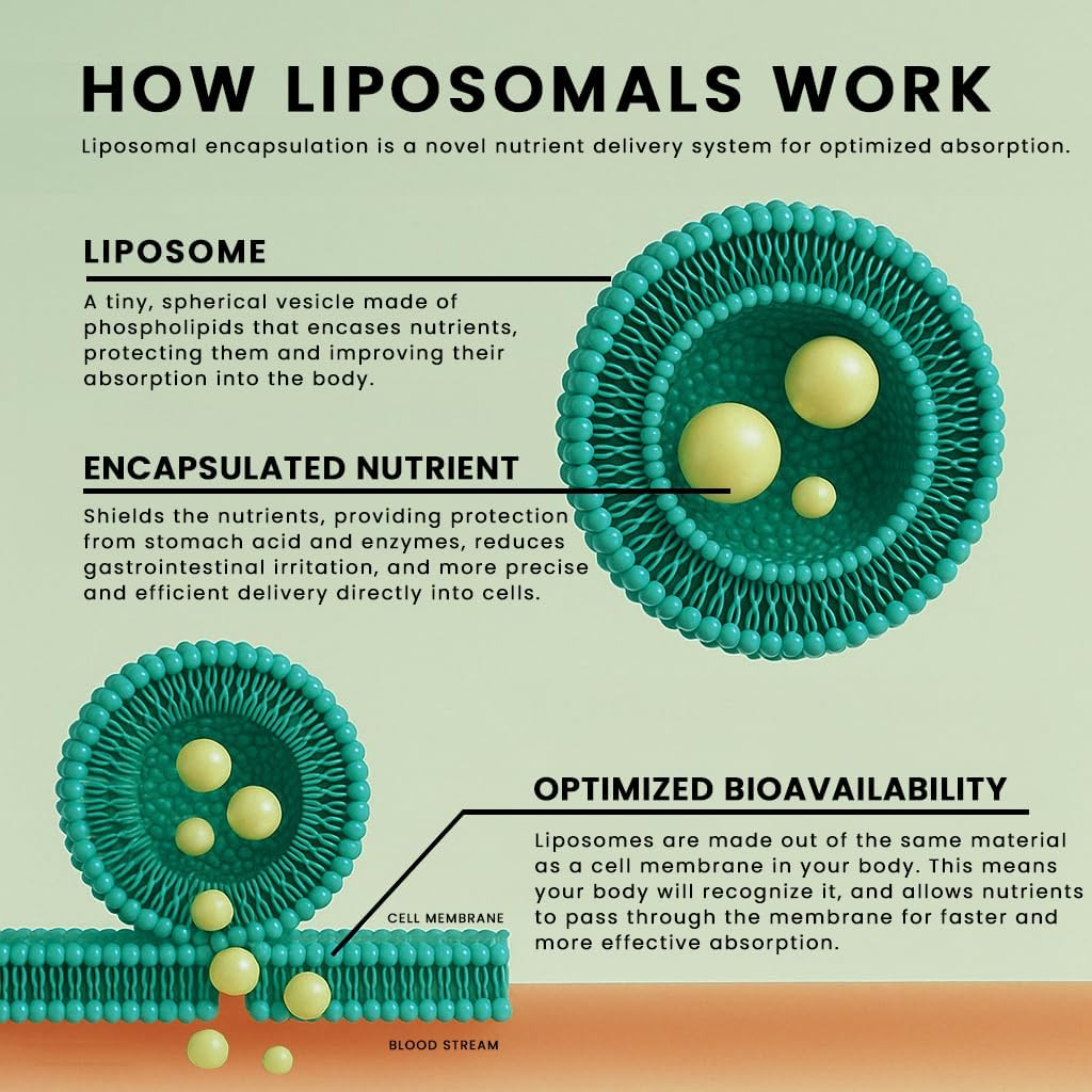 Manna Vitamins Evolved - Complejo Liposomal para el Azúcar en Sangre