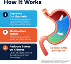 Renadyl Probiótico Renal | Apoyo para Urea, Creatinina y Ácido Úrico | 45 mil millones UFC | 60 Cápsulas