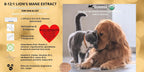 PETS ORGANICS ELIXIROZ Extracto de Melena de León para Perros y Gatos - Concentrado 8:1-12:1 - 250 Servicios
