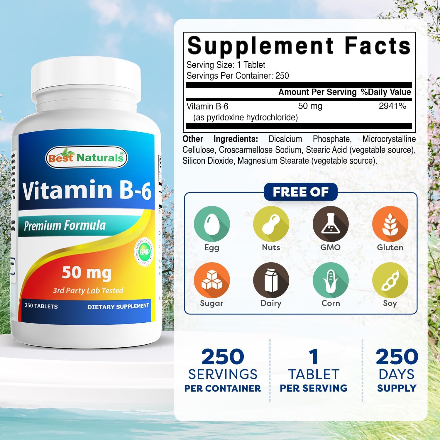 Best Naturals Vitamina B6 50 mg 250 Tabletas
