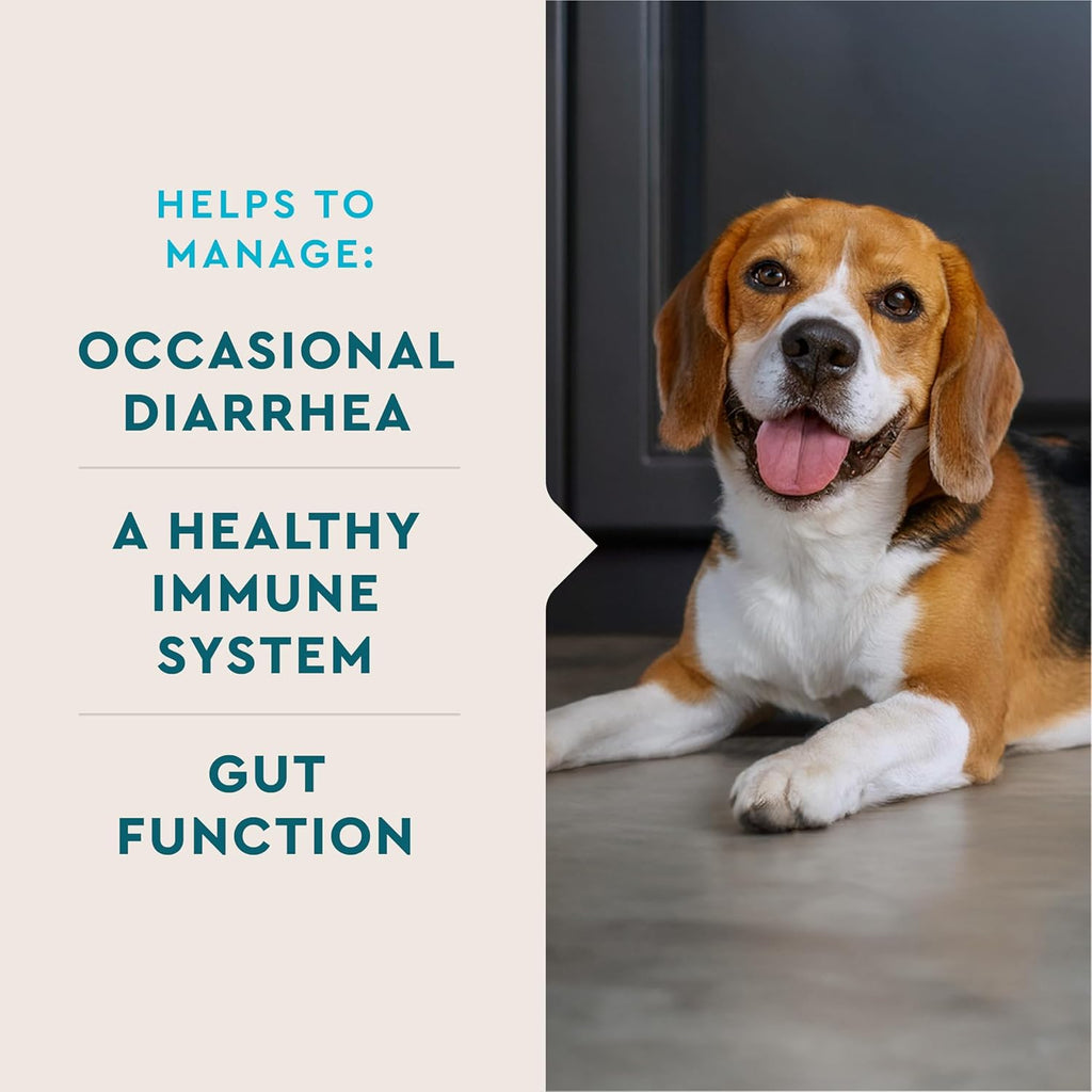 VetIQ Probiótico Digestivo en Polvo para Perros – 30 Sobres Individuales – Sabor a Hígado de Pollo