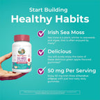 MaryRuth's Organics Gominolas sin Azúcar con Irish Sea Moss para el Apoyo Digestivo e Inmune | 60 Gomitas
