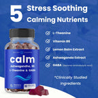 NutraChamps Calm Gummies, Gominolas para el Estrés con Ashwagandha, L-Teanina, GABA, Vitamina B6 y Melisa, Apoyo para el Estado de Ánimo, Concentración y Relajación, Sabor Natural a Baya, 90 Gominolas