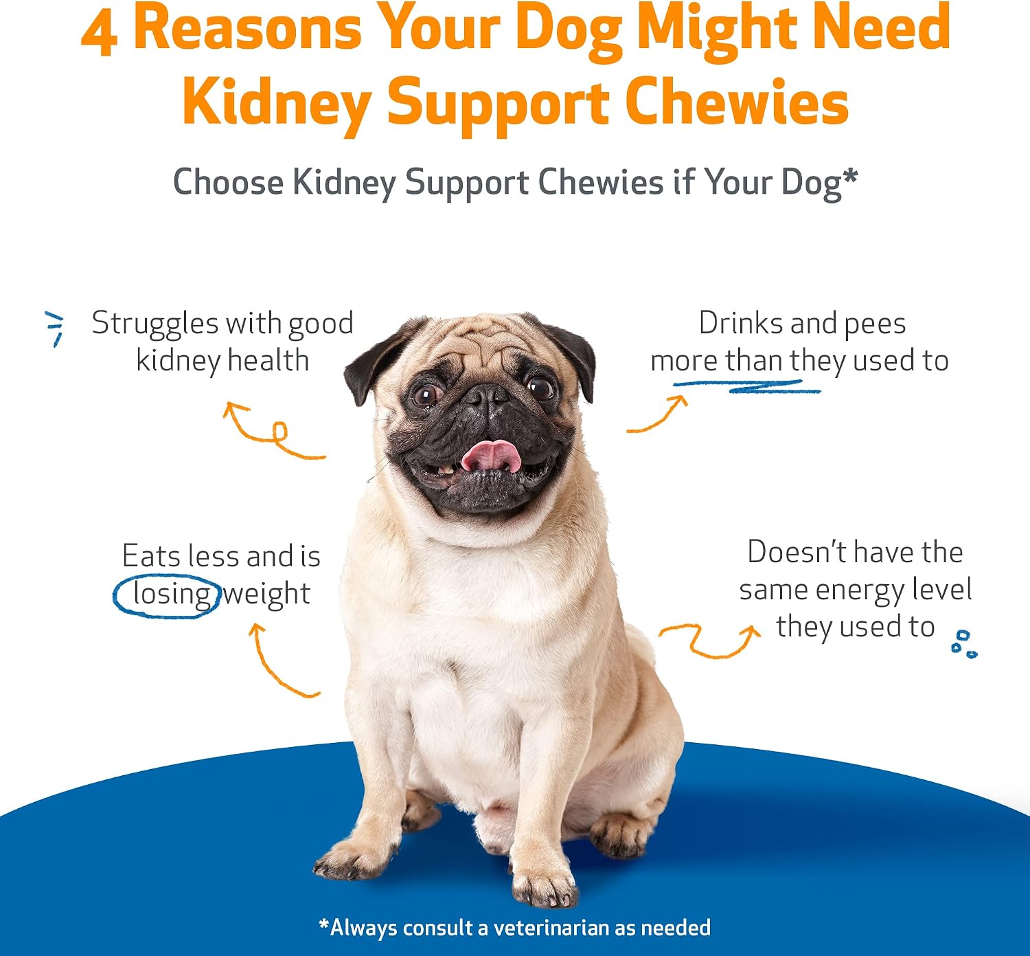 Pet Wellbeing Kidney Support Chewies para Perros - Apoyo Renal - 90 Masticables Blandas