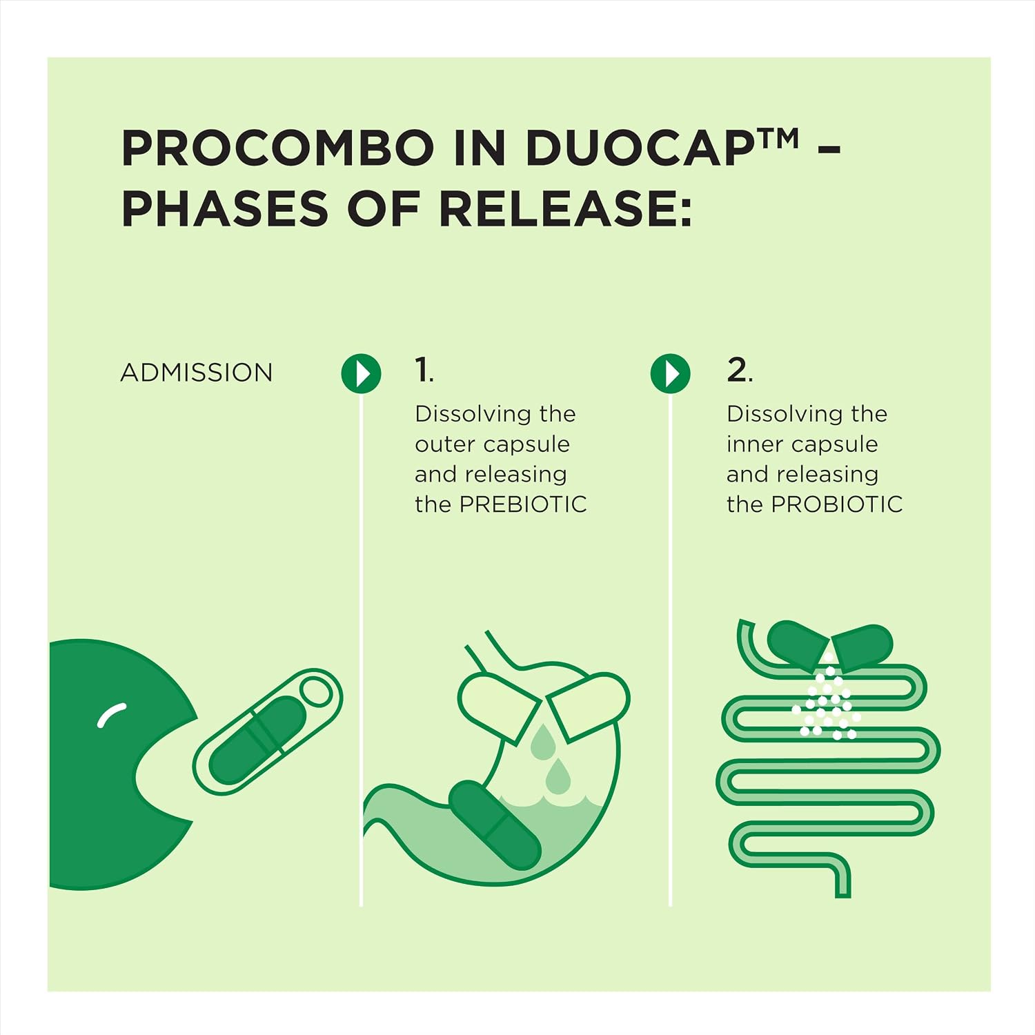 ProCombo - El simbiótico inteligente con liberación dirigida de bacterias buenas. Fórmula de doble cápsula y líquido para resultados rápidos. 1 cápsula al día. Probado en laboratorio (Envase de 1)