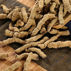 500 Gramos de Raíz Natural Orgánica de Morinda Officinalis (Bajitian) - Suplemento Herbal a Granel