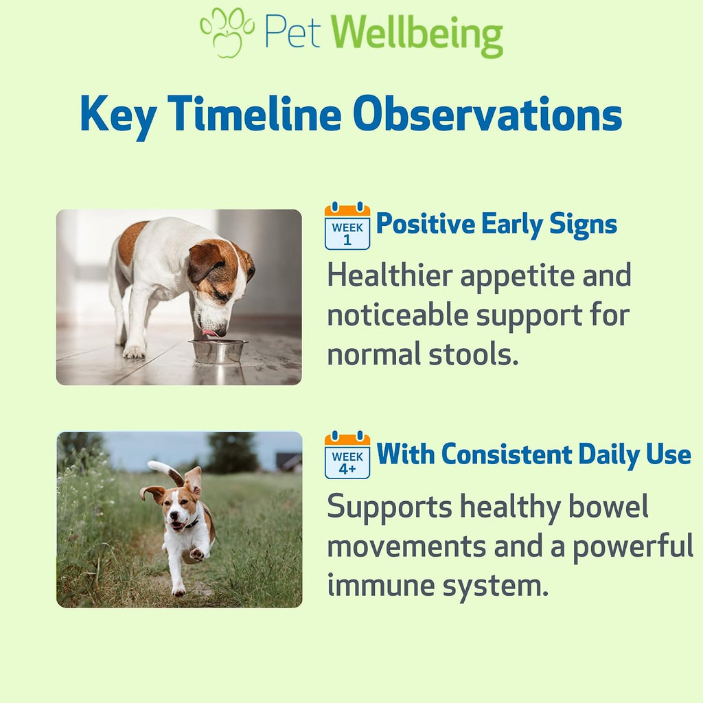 Pet Wellbeing Ultimate Probiotic 9 Cepas para Perros y Gatos - Apoyo Natural para la Digestión y Salud Urinaria 160 g