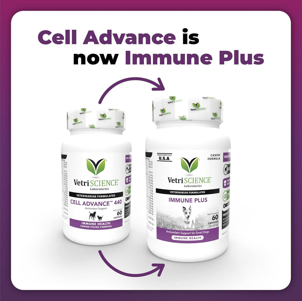 VetriScience Immunity Health Immune Plus Cápsulas para Perros Medianos y Grandes, 60 uds.