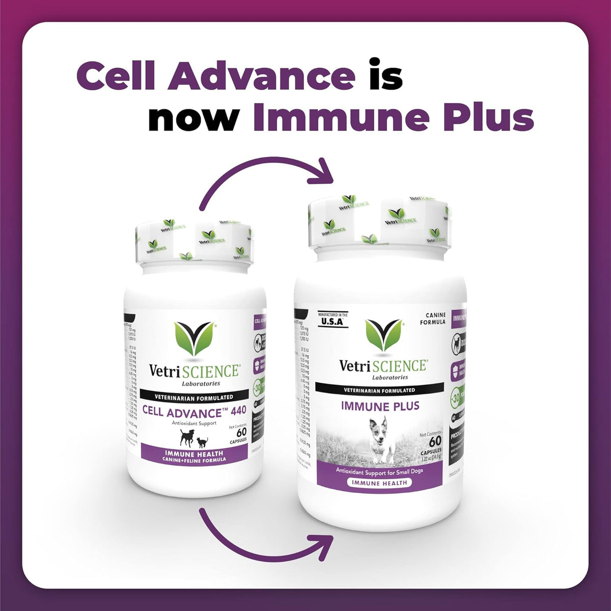 VetriScience Immunity Health Immune Plus Cápsulas para Perros Medianos y Grandes, 60 uds. – Image 4