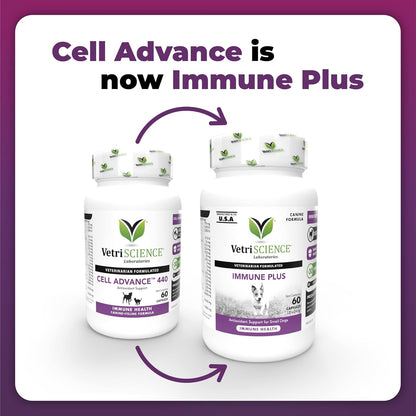VetriScience Immunity Health Immune Plus Cápsulas para Perros Medianos y Grandes, 60 uds. – Image 4