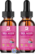 Sea Moss Liquid Drops - Aceite de Semilla Negra y Musgo Irlandés con Bardana, Vejiga de Mar, Saúco, Espirulina - 118 ml - Vegano