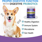 Probióticos para Perros con Enzimas, Papaya, Calabaza y Aceite de Krill - 200 Masticables