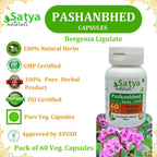 Pashanbhed Forte Cápsulas 500 mg - 60 Cápsulas Vegetales | Extracto de Bergenia Ligulata 10:1 | Suplemento Herbal Ayurvédico