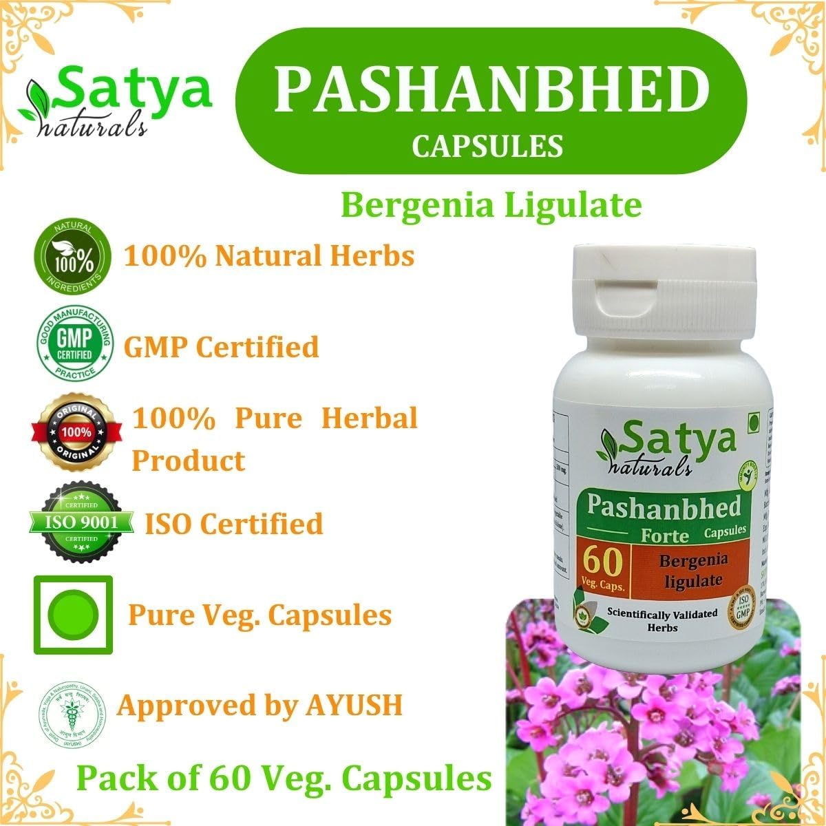 Pashanbhed Forte Cápsulas 500 mg - 60 Cápsulas Vegetales | Extracto de Bergenia Ligulata 10:1 | Suplemento Herbal Ayurvédico