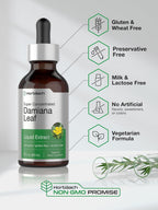 Horbäach Damiana Leaf Herb Tincture - 60 ml - Alcohol-Free Liquid Extract