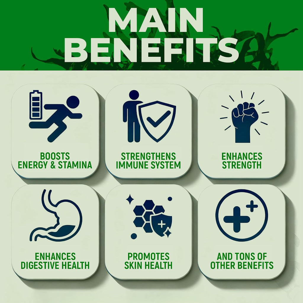 Sea Moss Black Seed Oil Ashwagandha Ginger - Cápsulas Avanzadas de Irish Sea Moss, Suplemento Todo en Uno con Seamoss, Black Seed Oil, Ashwagandha, Burdock Root, Bladderwrack