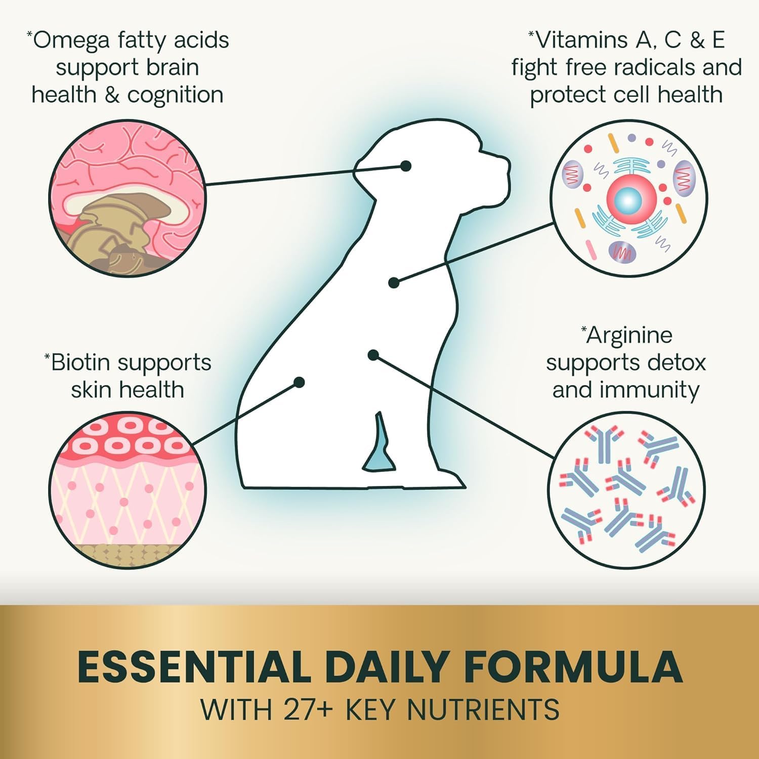 VetriScience Canine Plus Multivitamínico para Perros - 90 Comprimidos Masticables