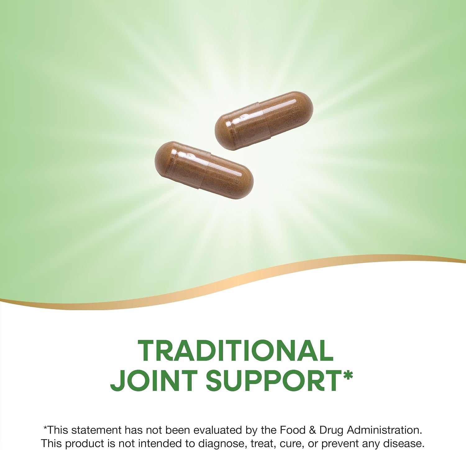 Nature's Way Burdock Root, 100 Vegan Capsules