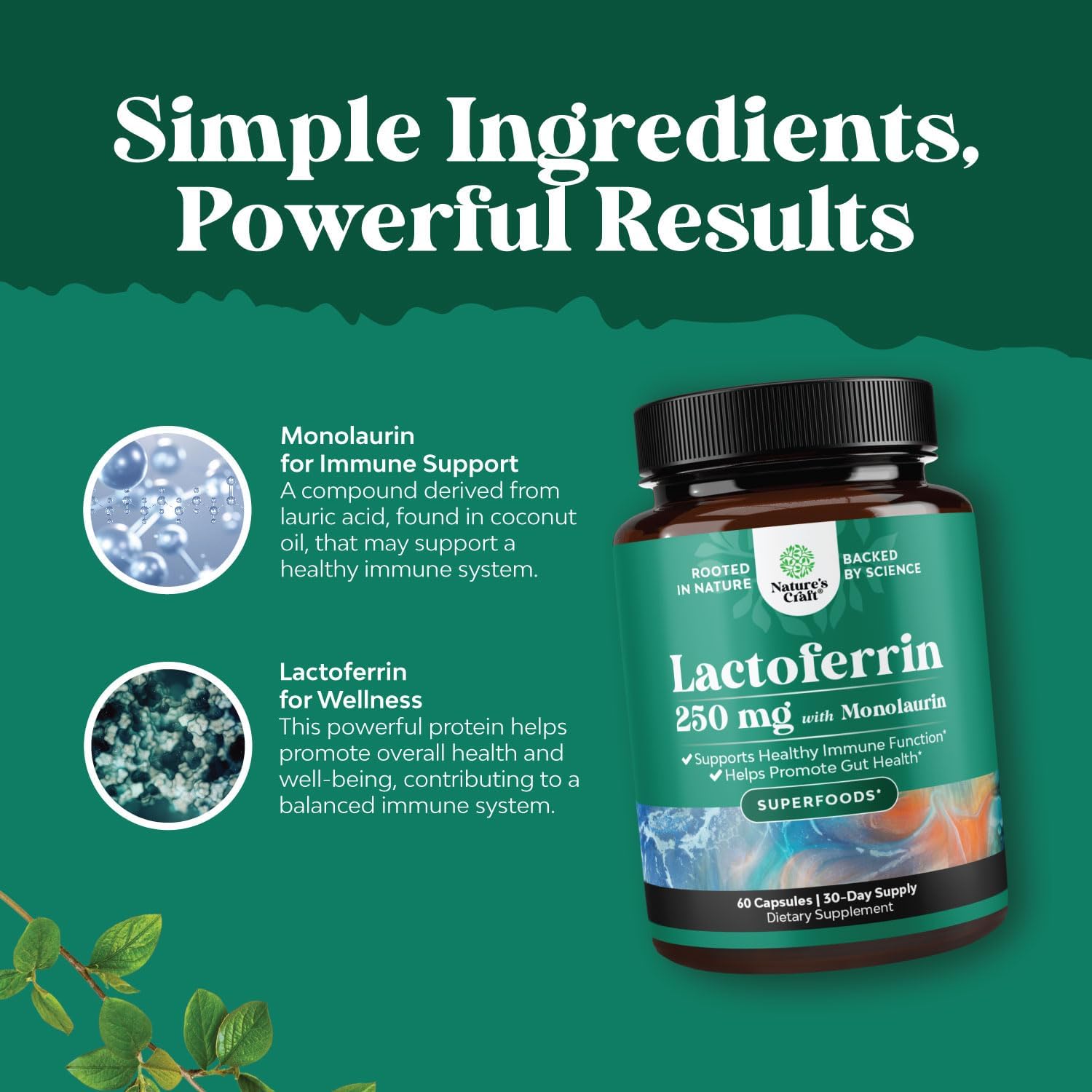 Lactoferrina 250mg y Monolaurina 1000mg - Complemento para la Salud Digestiva e Inmune - 60 Cápsulas
