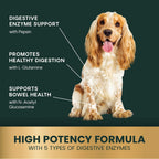 VetriScience Extra Strength Healthy Gut & Digestion - Complemento para perros con probióticos y enzimas digestivas, 120 comprimidos masticables sabor pollo