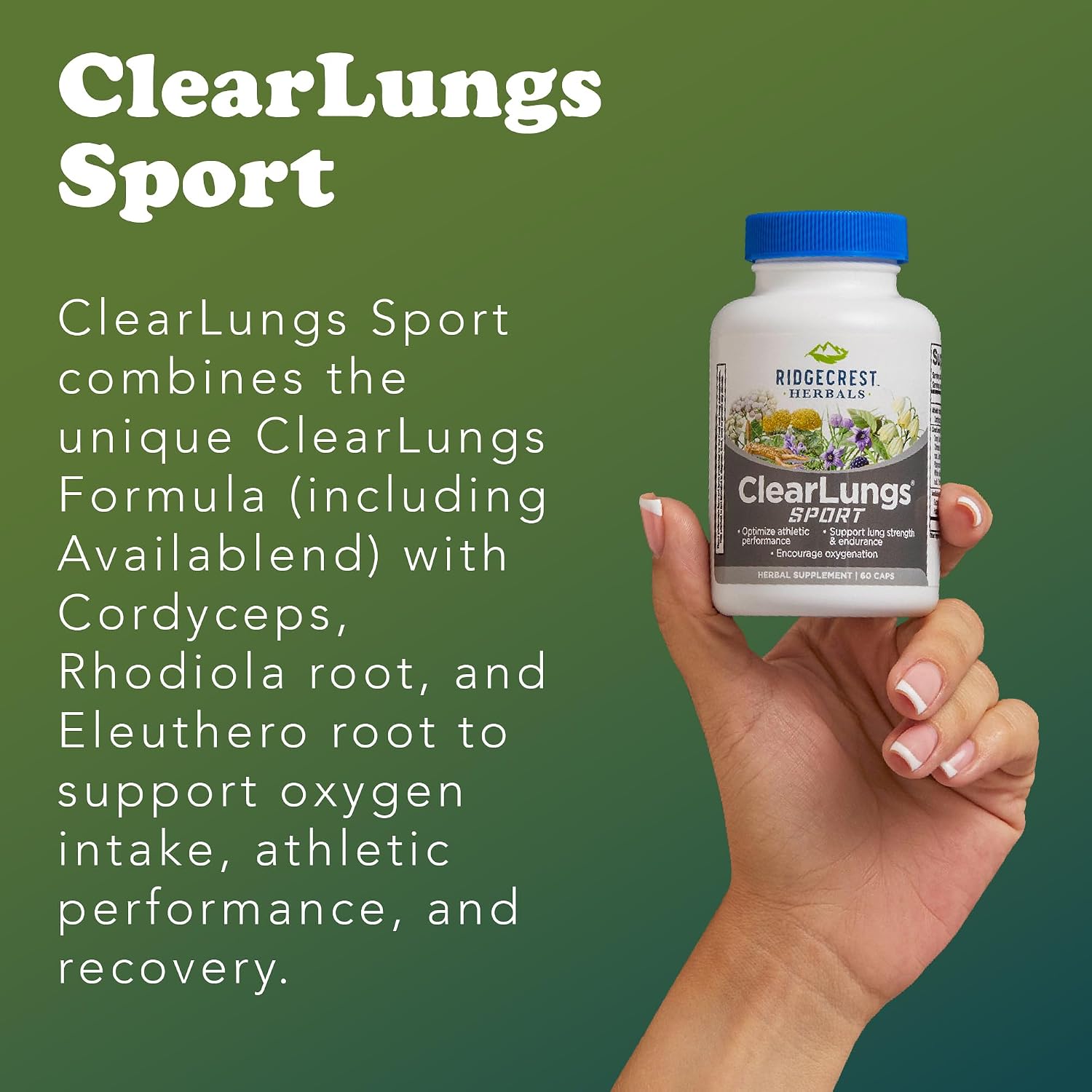RidgeCrest Herbals ClearLungs Sport - Fórmula de Apoyo Respiratorio con Cordyceps, Rhodiola y Eleuthero | 60 Cápsulas Veganas