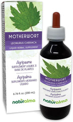Naturalma Tintura de Motherwort (Leonurus cardiaca) - Extracto líquido sin alcohol, 118 ml - Suplemento herbal vegano